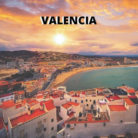 Valencia, studio e sport in una città giovane, vivace e sorprendente! a partire da: